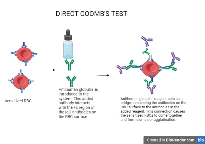 DIRECT COOMBS TEST/ANTIGLOBULIN TEST PROCEDURE Clinical Laboratory Guide