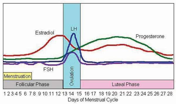 Progesterone Total ,serum - Clinical Laboratory Guide