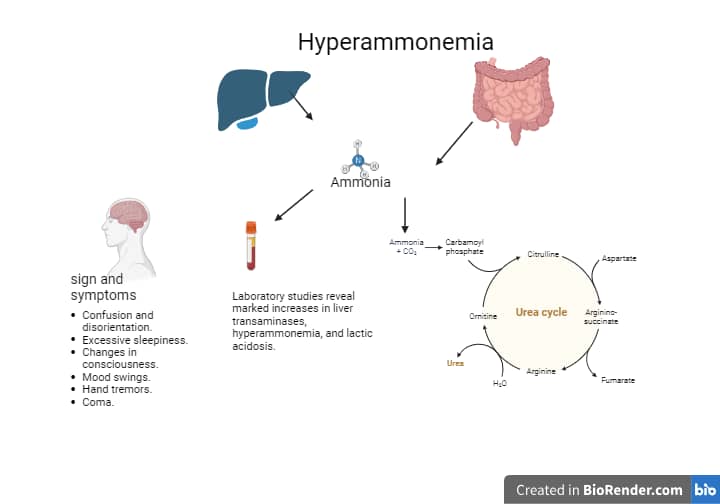 blood-ammonia-level-testing-clinical-laboratory-guide